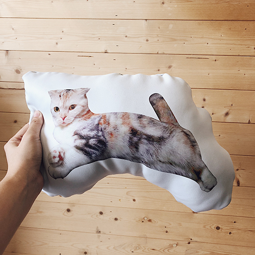 特殊外型抱枕1